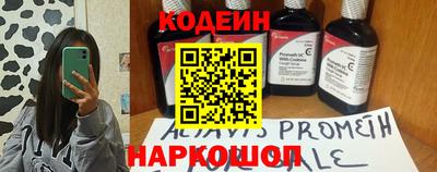 шишки Дубна