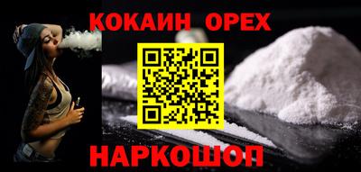 шишки Дубна