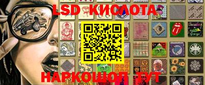 шишки Дубна