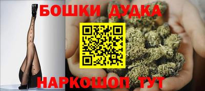 шишки Дубна