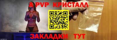 шишки Дубна